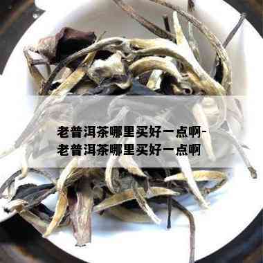 老普洱茶哪里买好一点啊-老普洱茶哪里买好一点啊