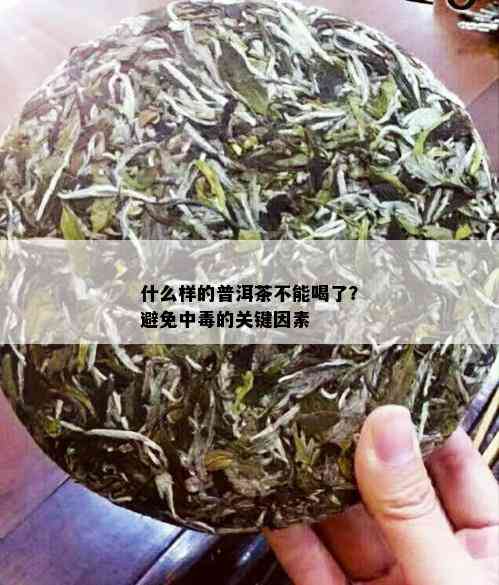 什么样的普洱茶不能喝了？避免中的关键因素