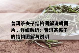 普洱茶夹子结构图解说明图片，详细解析：普洱茶夹子的结构图解与说明