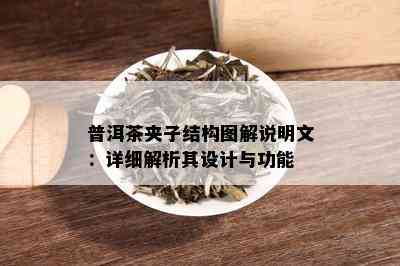 普洱茶夹子结构图解说明文：详细解析其设计与功能