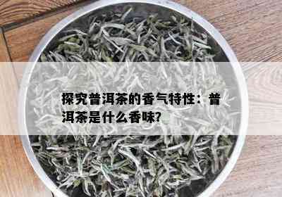 探究普洱茶的香气特性：普洱茶是什么香味？