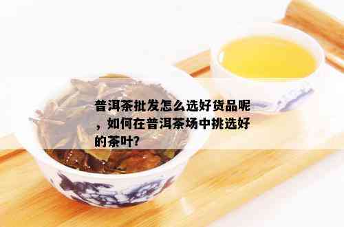 普洱茶批发怎么选好货品呢，如何在普洱茶场中挑选好的茶叶？