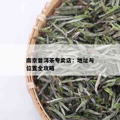 南京普洱茶专卖店：地址与位置全攻略