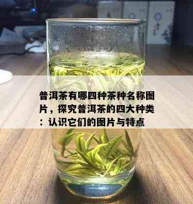 普洱茶有哪四种茶种名称图片，探究普洱茶的四大种类：认识它们的图片与特点