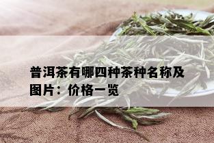 普洱茶有哪四种茶种名称及图片：价格一览