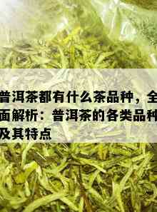 普洱茶都有什么茶品种，全面解析：普洱茶的各类品种及其特点