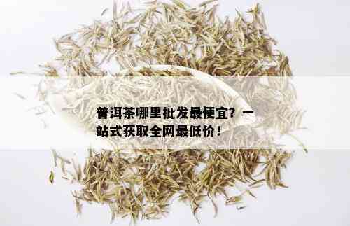 普洱茶哪里批发更便宜？一站式获取全网更低价！