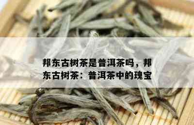 邦东古树茶是普洱茶吗，邦东古树茶：普洱茶中的瑰宝