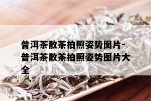 普洱茶散茶拍照姿势图片-普洱茶散茶拍照姿势图片大全