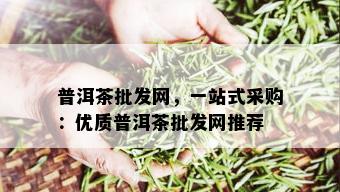 普洱茶批发网，一站式采购：优质普洱茶批发网推荐