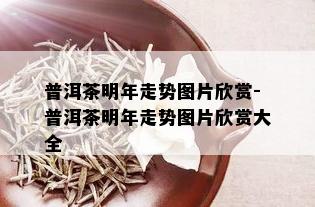 普洱茶明年走势图片欣赏-普洱茶明年走势图片欣赏大全