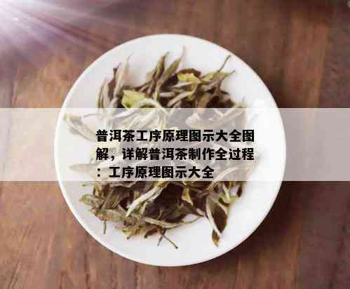 普洱茶工序原理图示大全图解，详解普洱茶制作全过程：工序原理图示大全