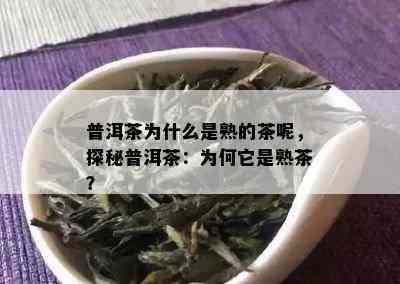 普洱茶为什么是熟的茶呢，探秘普洱茶：为何它是熟茶？