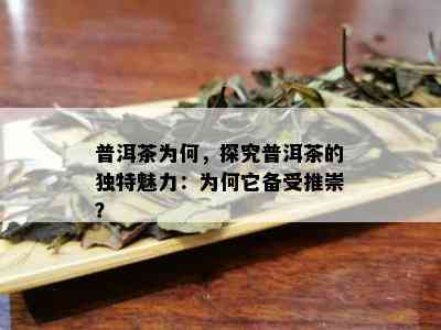 普洱茶为何，探究普洱茶的独特魅力：为何它备受推崇？