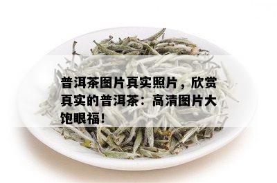 普洱茶图片真实照片，欣赏真实的普洱茶：高清图片大饱眼福！