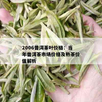 2006普洱茶叶价格：当年普洱茶市场价格及熟茶价值解析