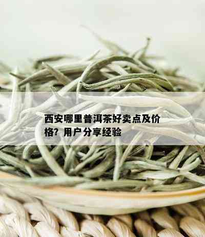 西安哪里普洱茶好卖点及价格？用户分享经验