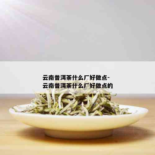 云南普洱茶什么厂好做点-云南普洱茶什么厂好做点的