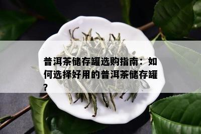 普洱茶储存罐选购指南：如何选择好用的普洱茶储存罐？