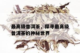 更高级普洱茶，探寻更高级普洱茶的神秘世界