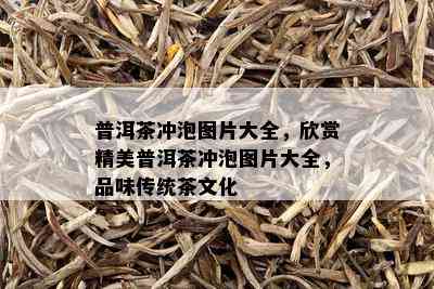 普洱茶冲泡图片大全，欣赏精美普洱茶冲泡图片大全，品味传统茶文化