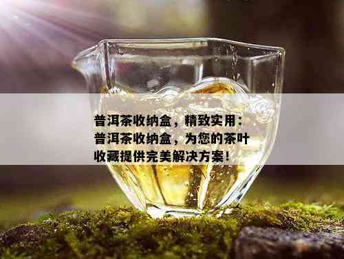 普洱茶收纳盒，精致实用：普洱茶收纳盒，为您的茶叶收藏提供完美解决方案！