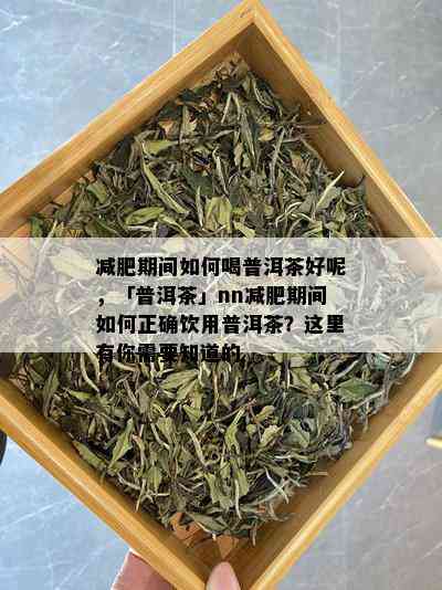 减肥期间如何喝普洱茶好呢，「普洱茶」nn减肥期间如何正确饮用普洱茶？这里有你需要知道的