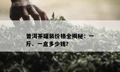 普洱茶罐装价格全揭秘：一斤、一盒多少钱？