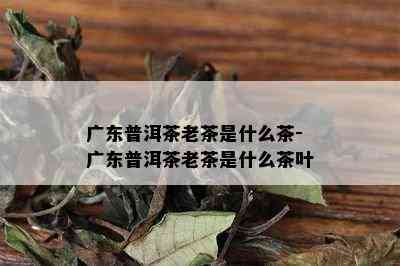 广东普洱茶老茶是什么茶-广东普洱茶老茶是什么茶叶