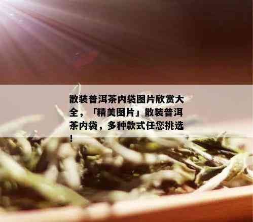 散装普洱茶内袋图片欣赏大全，「精美图片」散装普洱茶内袋，多种款式任您挑选！