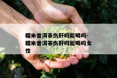 糯米普洱茶伤肝吗能喝吗-糯米普洱茶伤肝吗能喝吗女性