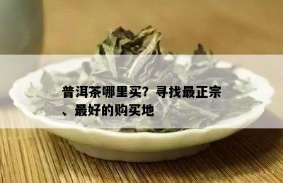 普洱茶哪里买？寻找最正宗、更好的购买地