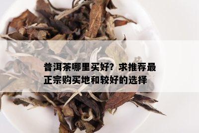 普洱茶哪里买好？求推荐最正宗购买地和较好的选择