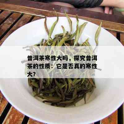 普洱茶寒性大吗，探究普洱茶的性质：它是否真的寒性大？