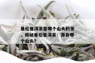 曼松普洱茶是哪个山头的茶，揭秘曼松普洱茶：源自哪个山头？