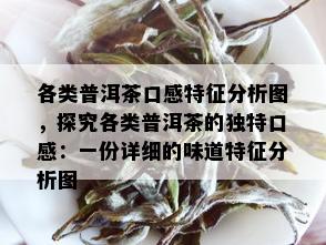 各类普洱茶口感特征分析图，探究各类普洱茶的独特口感：一份详细的味道特征分析图