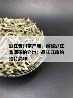 浙江普洱茶产地，揭秘浙江普洱茶的产地：品味江南的独特韵味