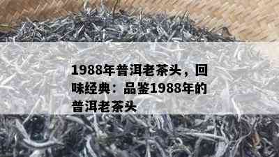 1988年普洱老茶头，回味经典：品鉴1988年的普洱老茶头