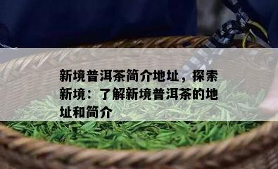 新境普洱茶简介地址，探索新境：了解新境普洱茶的地址和简介