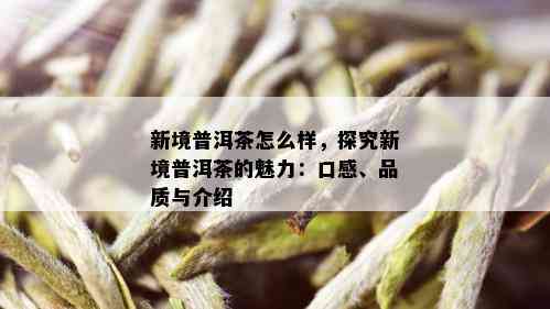 新境普洱茶怎么样，探究新境普洱茶的魅力：口感、品质与介绍