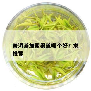 普洱茶加盟渠道哪个好？求推荐