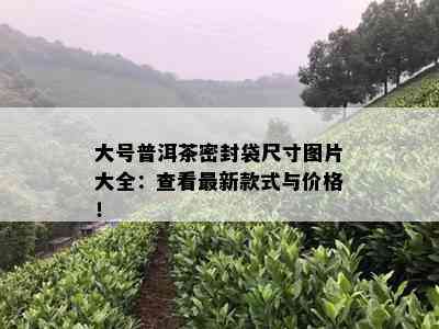 大号普洱茶密封袋尺寸图片大全：查看最新款式与价格！