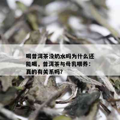 喝普洱茶没奶水吗为什么还能喝，普洱茶与母乳喂养：真的有关系吗？