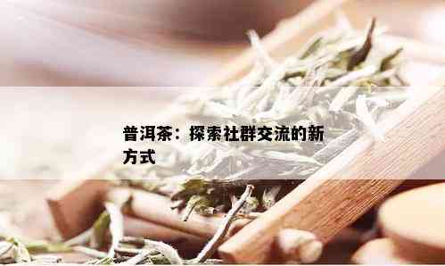 普洱茶：探索社群交流的新方式