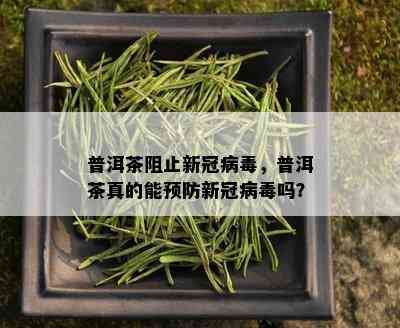 普洱茶阻止新冠病，普洱茶真的能预防新冠病吗？