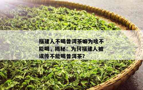 福建人不喝普洱茶嘛为啥不能喝，揭秘：为何福建人被误传不能喝普洱茶？