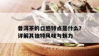 普洱茶的口感特点是什么？详解其独特风味与魅力