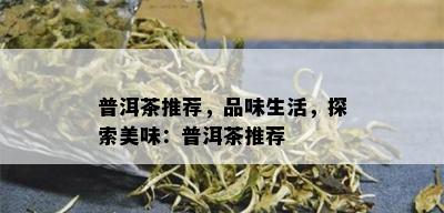 普洱茶推荐，品味生活，探索美味：普洱茶推荐