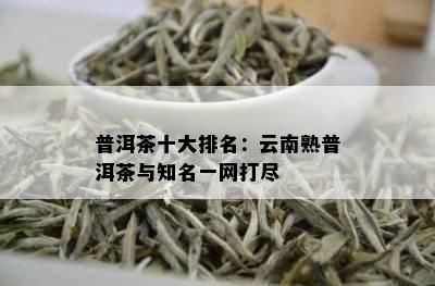 普洱茶十大排名：云南熟普洱茶与知名一网打尽