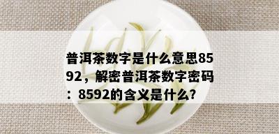 普洱茶数字是什么意思8592，解密普洱茶数字密码：8592的含义是什么？